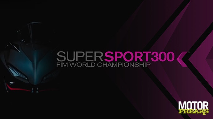 SS300