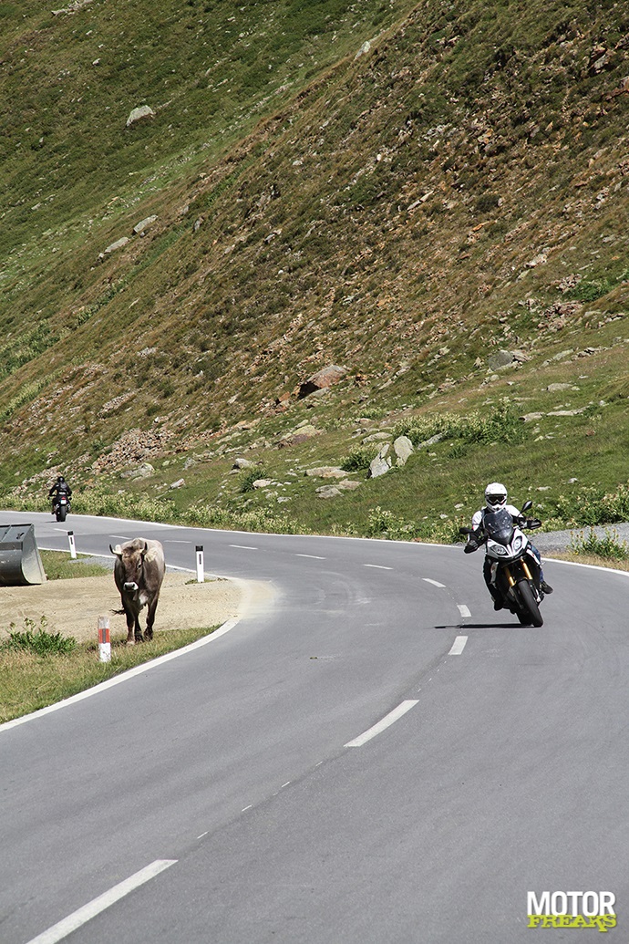 Stelvio