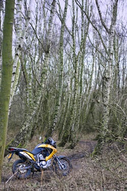 Honda Transalp XL700V