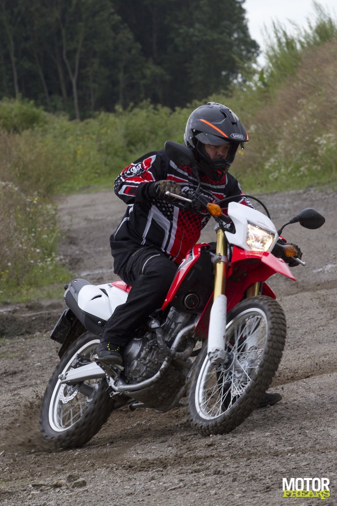 CRF3366