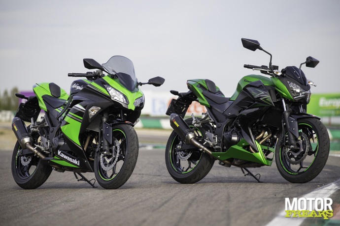 kawasaki-ninja300-vs-z300