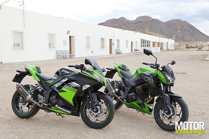 Kawasaki300-69