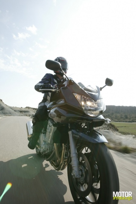 suzuki_bandit650_1250_3-1.jpg