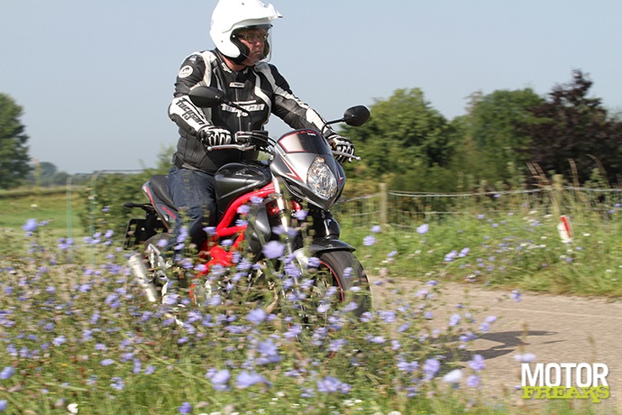 Suzuki 2014 Gladius Trophy