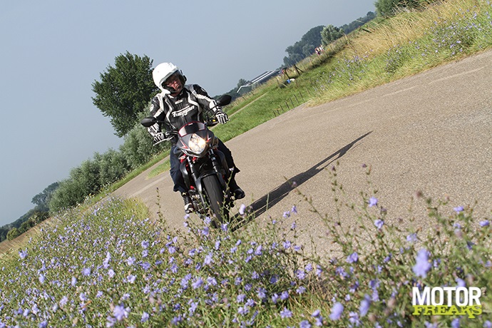 Suzuki 2014 Gladius Trophy